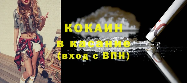 прущие крисы Ельня