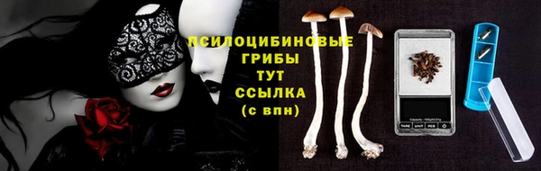 прущие крисы Ельня