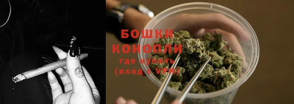 ECSTASY Елизово