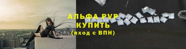 прущие крисы Ельня