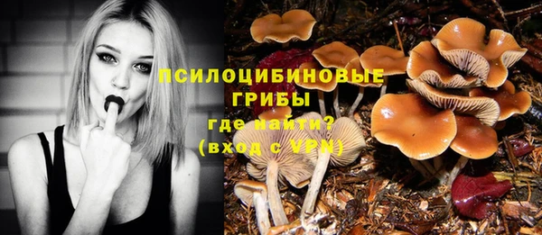 ECSTASY Елизово