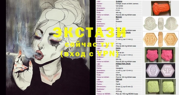ECSTASY Елизово