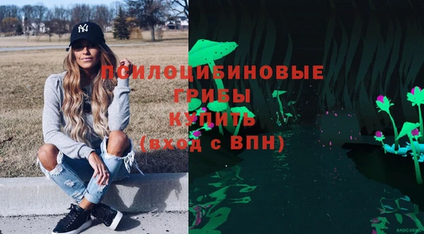 прущие крисы Ельня