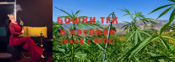 ECSTASY Елизово