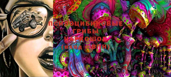 прущие крисы Ельня