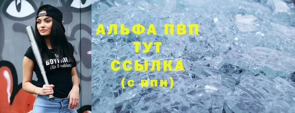 ECSTASY Елизово