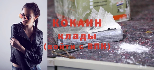 прущие крисы Ельня