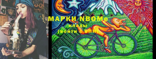 прущие крисы Ельня