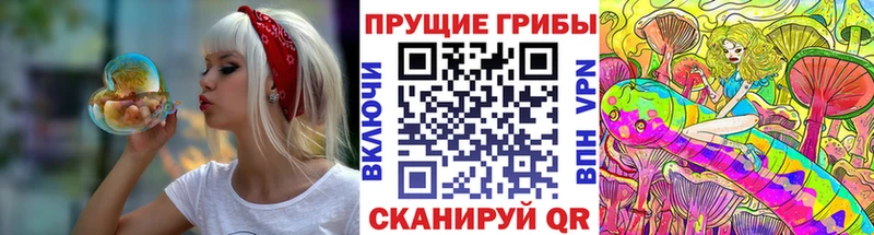 Галлюциногенные грибы ЛСД  Купить закладки  Мглин 